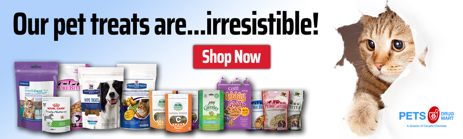 13477108_pets_banner_treats.jpg