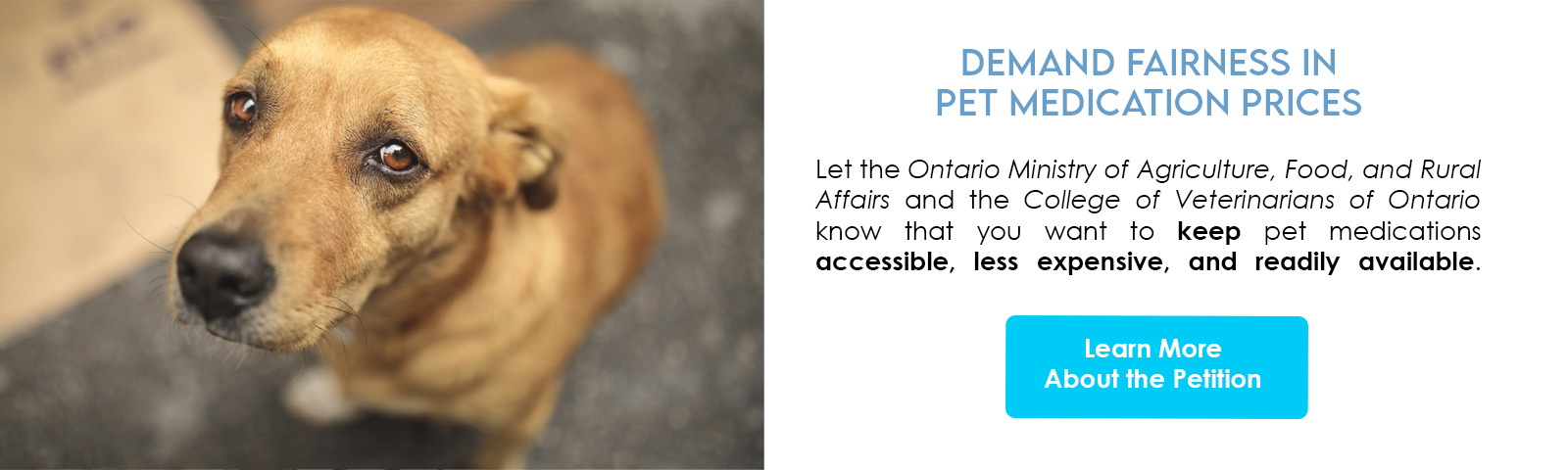 15803591_pets_fairpricing_banner12.jpg