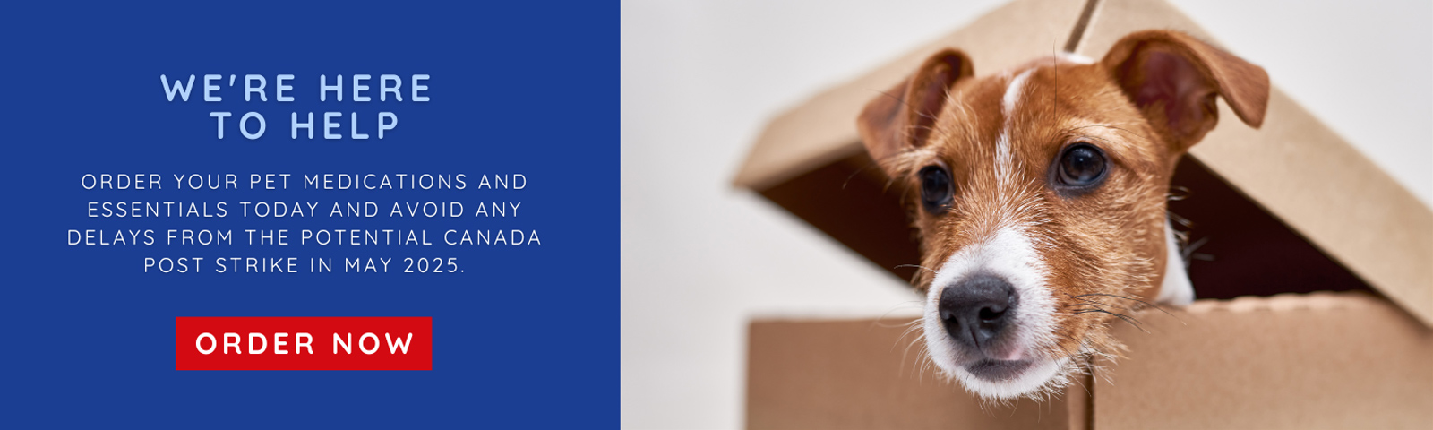 26774096_pets_202505_canadapoststrikepotential.jpg