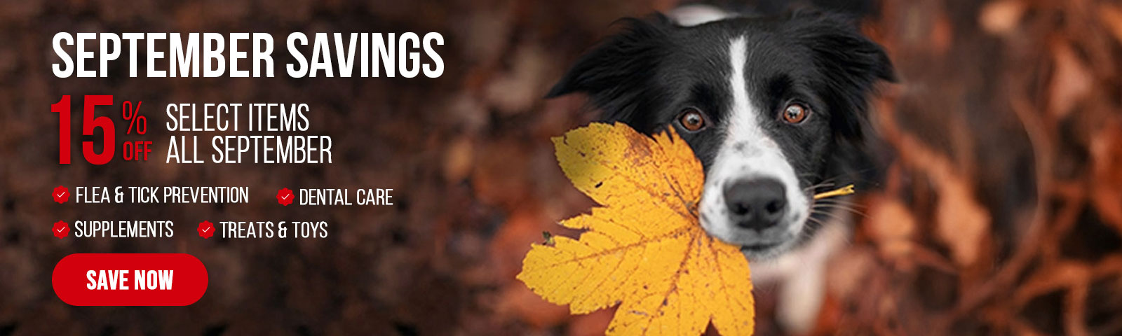 30765115_pets_20250901_septembersavings_banner.jpg