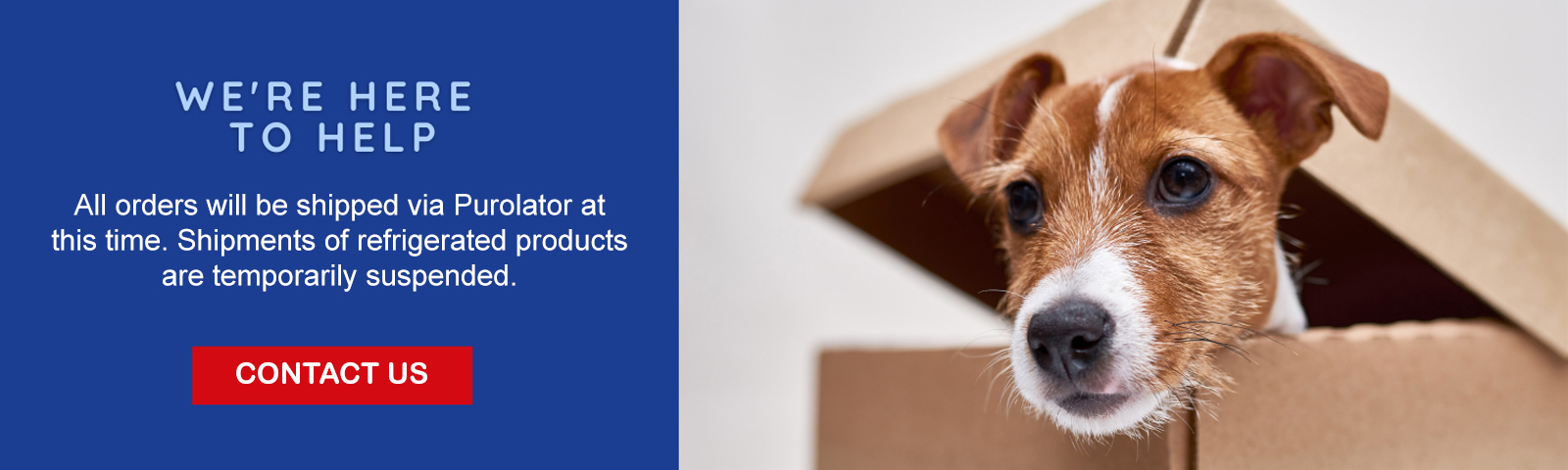 32133153_pets_2025_canadapoststrike_banner.jpg