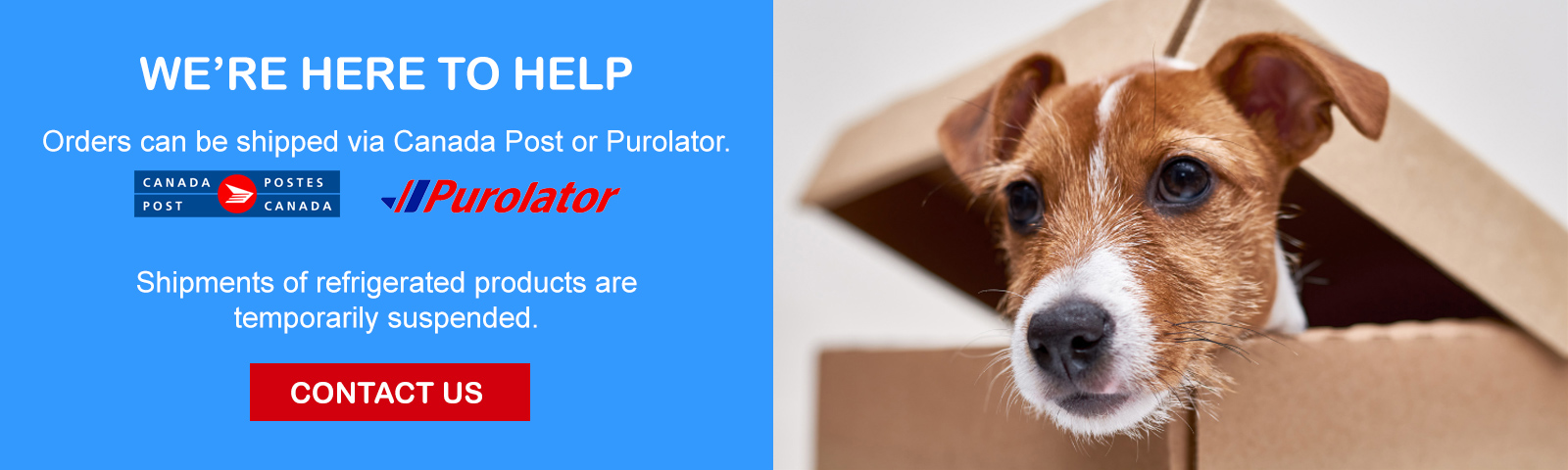 32327278_pets_202510_canadapostpurolator_banner.jpg
