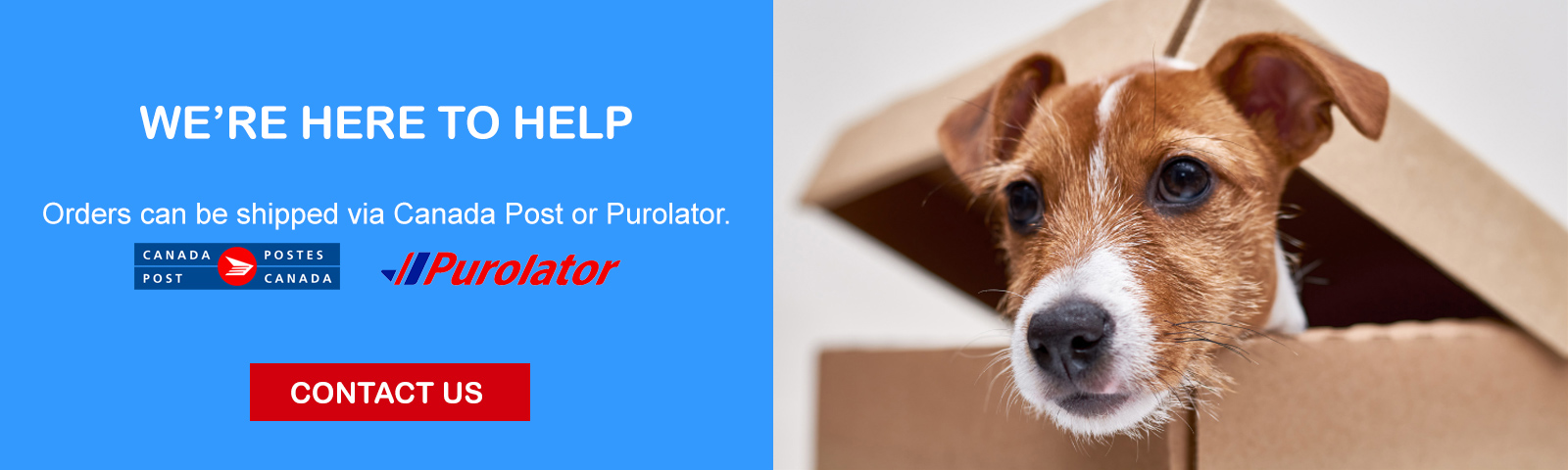 32932192_pets_202511_canadapostpurolator_banner.jpg