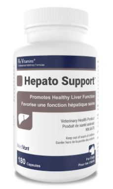 Hepato support shop for dogs