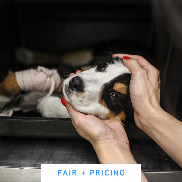 Pets Drug Mart Canada