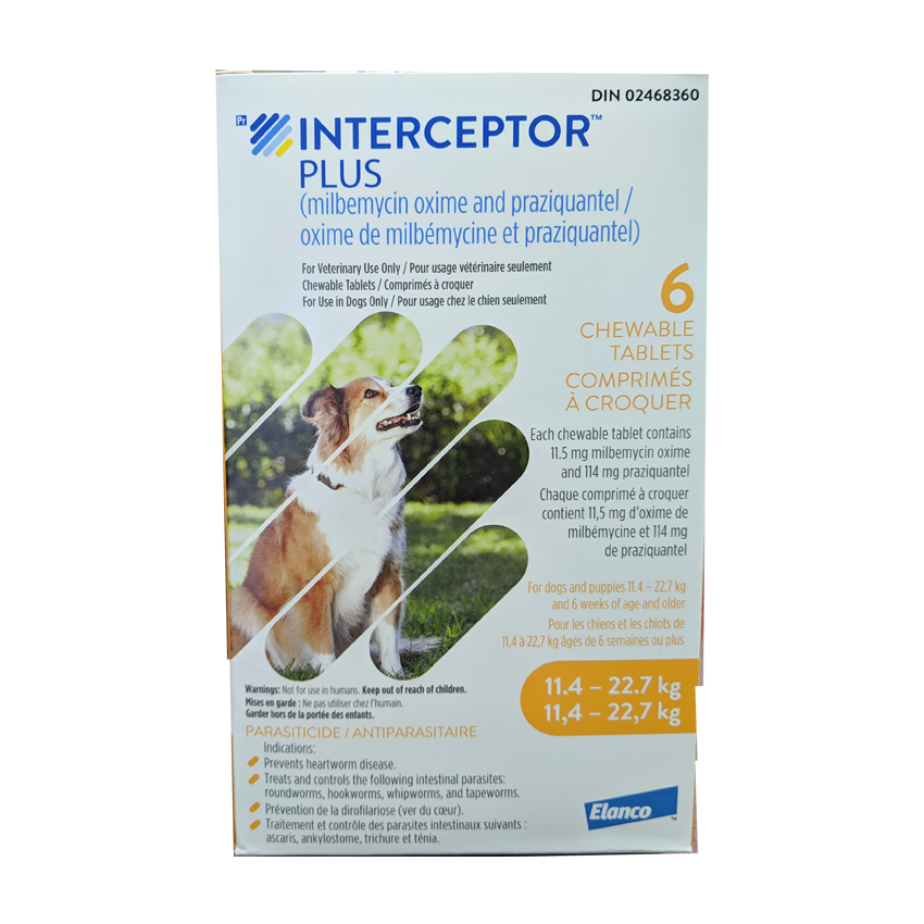 Best price on interceptor plus best sale for dogs