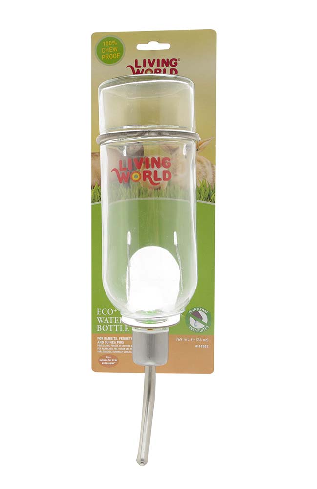 Living World Eco+ Water Bottle with Hanger