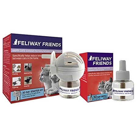 Feliway Friends