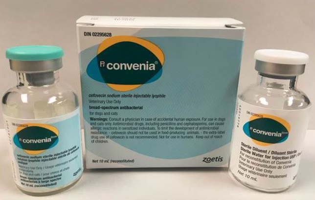 convenia-injection-ubicaciondepersonas-cdmx-gob-mx