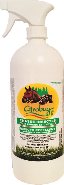 Insect spray for dogs sale