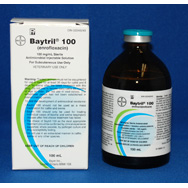 Baytril Injectable