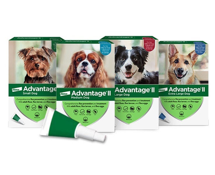 Flea clearance medication canada