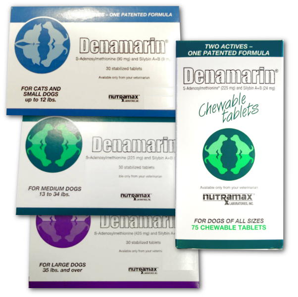 Side Effects Of Denamarin Denamarin For Dogs Complete Information