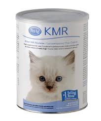 Kmr clearance kitten milk
