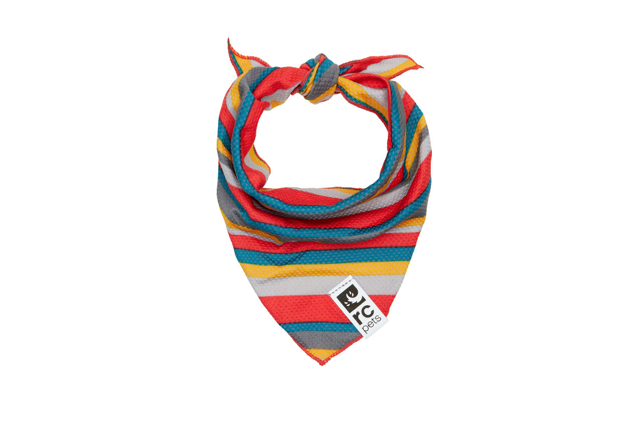 130150_Dogs_RC Pets Zephyr Cooling Bandana_Medium / Large - Fits Neck 15