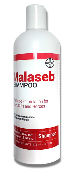 malaseb for horses