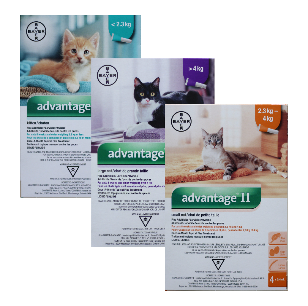 advantage ii for small cats 6 pack