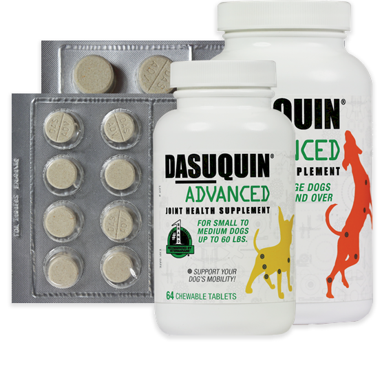 buy-dasuquin-advanced-chewable-tablets-for-dogs-pets-drug-mart-canada