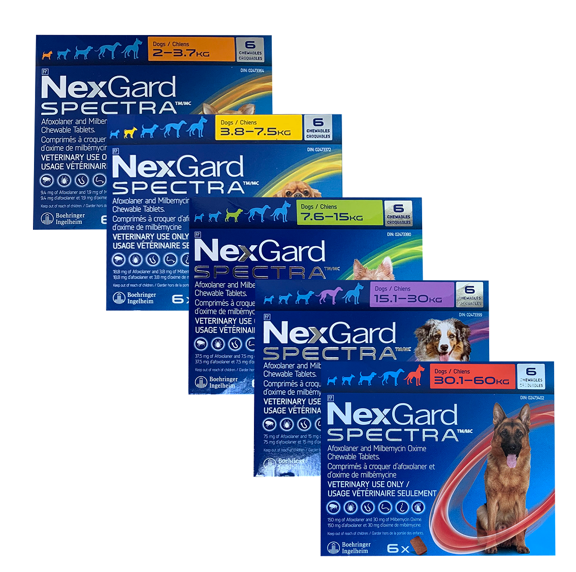 Buy Nexgard Spectra for Dogs