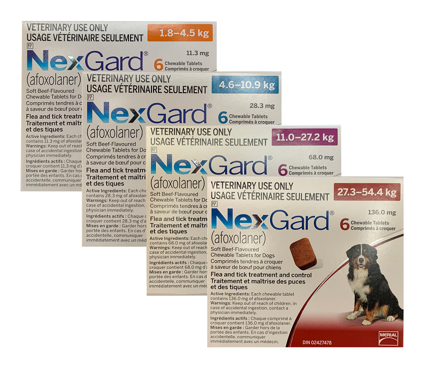 Nexgard Chewable