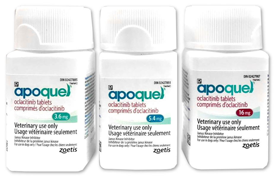 Buy Apoquel Pets Drug Mart Canada