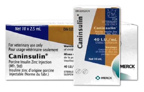 Caninsulin Insulin Vials