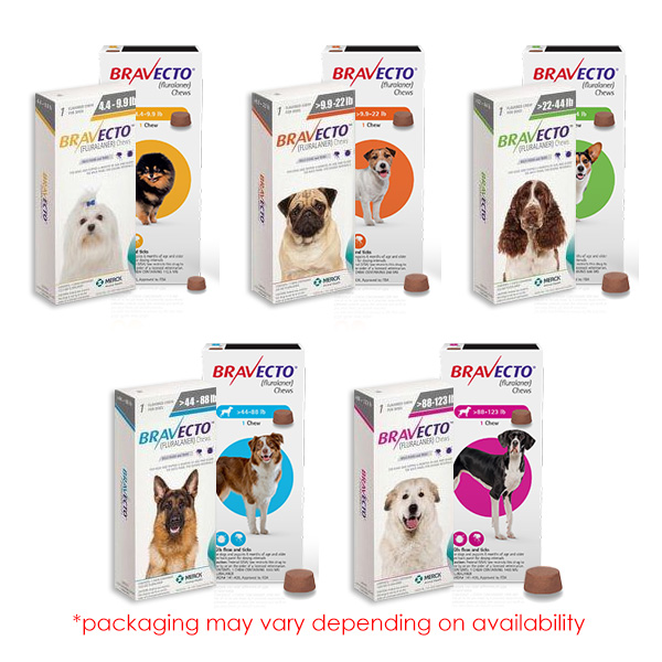 canada pet meds bravecto