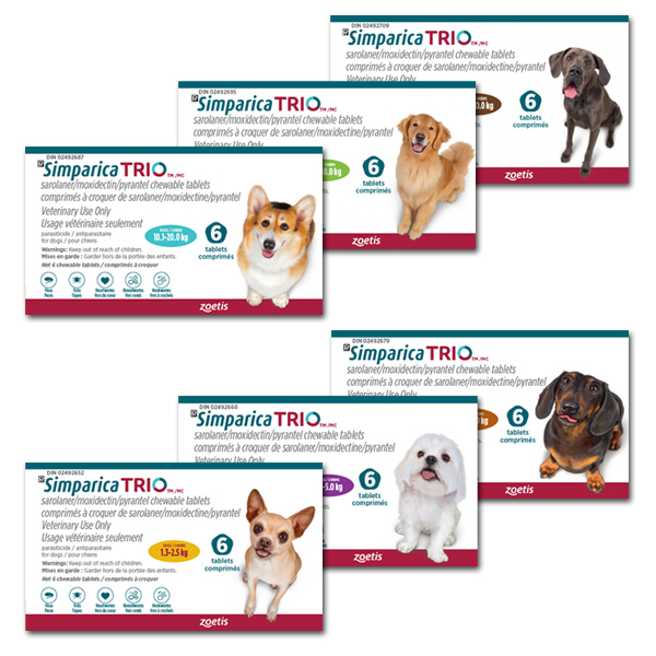 buy-simparica-trio-pets-drug-mart-canada