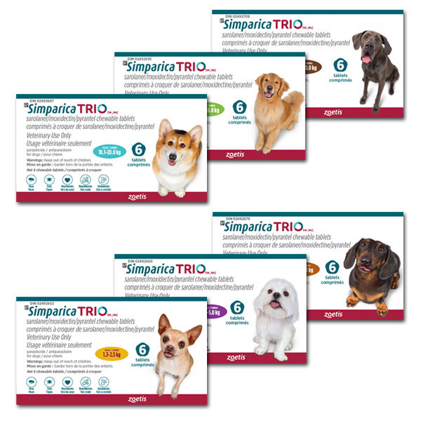 Buy Simparica TRIO Pets Drug Mart Canada
