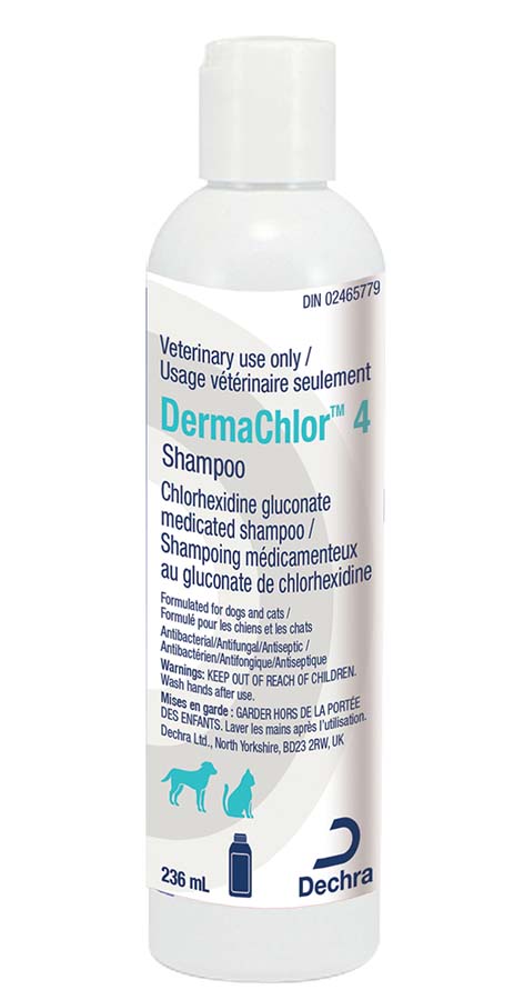 DermaChlor 4 Shampoo